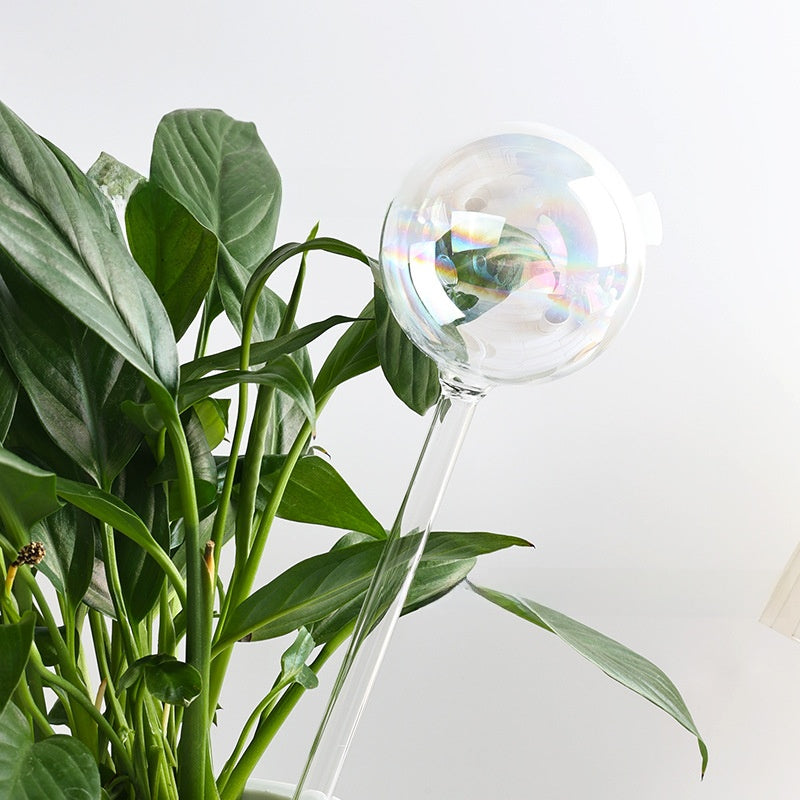 Automatic Gravity Glass Plant Watering Device