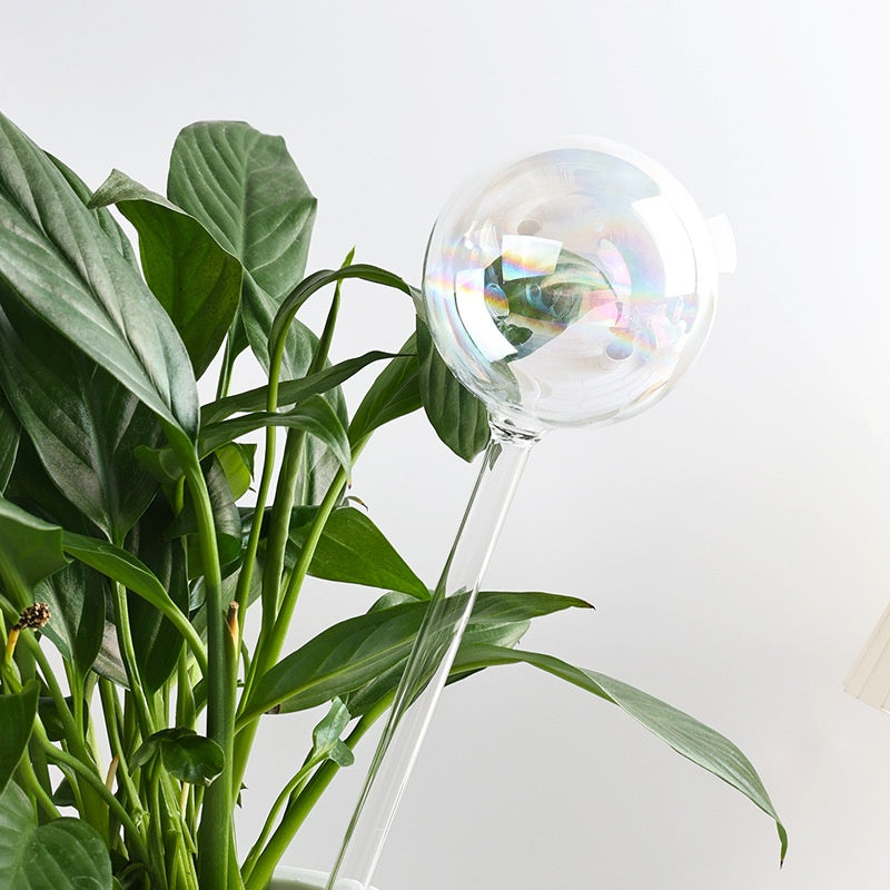 Automatic Gravity Glass Plant Watering Device