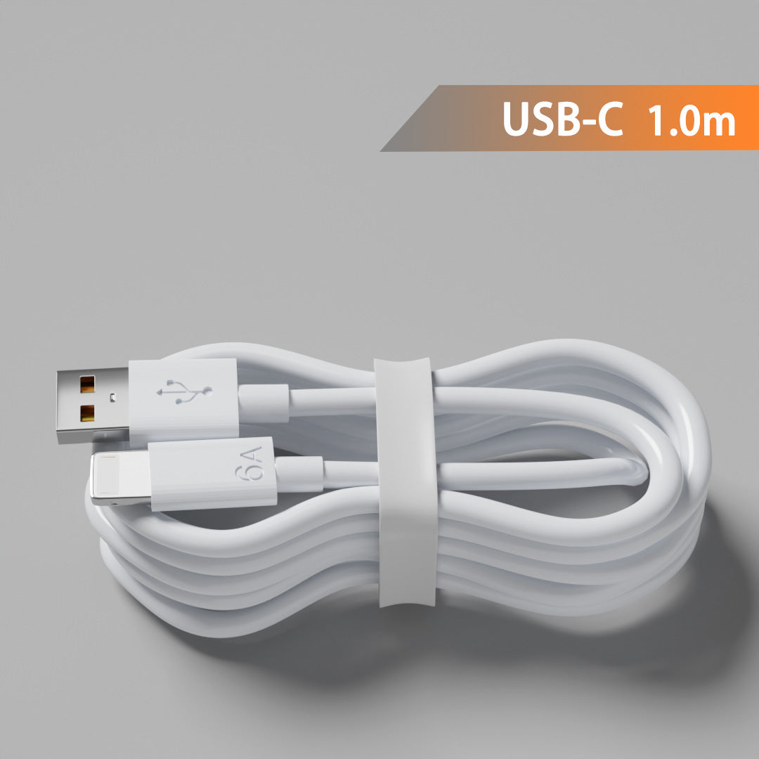fast charger