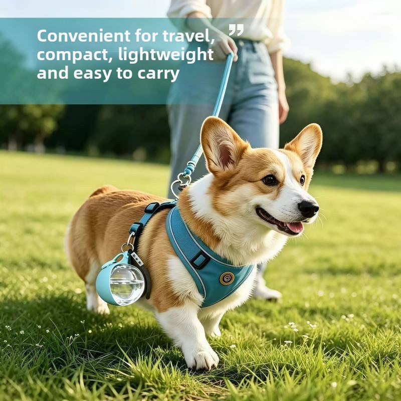 Collapsible Pet Water Bottle