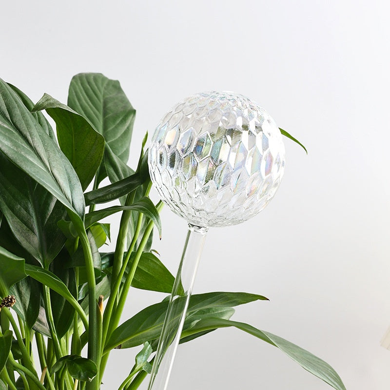 Automatic Gravity Glass Plant Watering Device