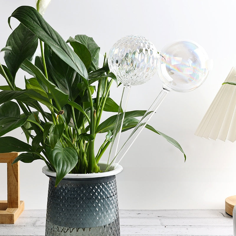 Automatic Gravity Glass Plant Watering Device